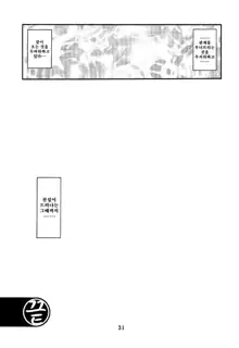 Akebi no Mi - Satomi AFTER | 산희의 실 사토미 AFTER, 한국어