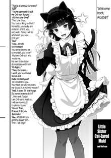 Kuroneko Lion Heart, English