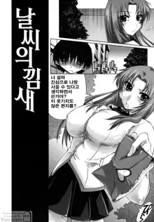 Houkago Shoujo - After School Girls, 한국어