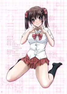 Imouto wa Boku no Koibito ~Onii-chan tono Omoide Hen~, 中文