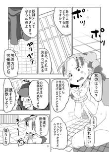 レヌール城の神隠し ～絶望的モン姦奴隷ビアンカ～, 日本語