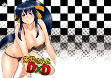 Akeno-san to DxD, Español