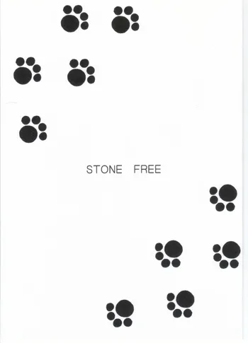 STONE FREE, 日本語