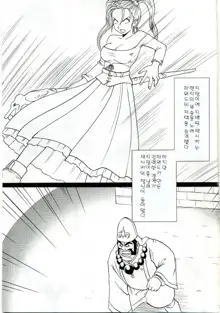 Midasareshi Onna Madoushi Soushuuhen | 흐트려진 여마도사 총집면, 한국어