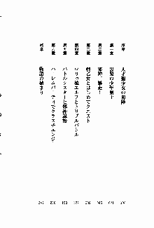 守ってセイントシスター, 日本語