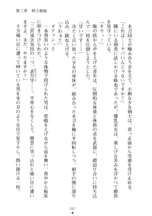 もののふガールズⅡ 姉妹剣士がお相手します, 日本語