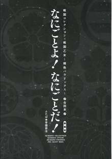 なにごとよ!, 日本語