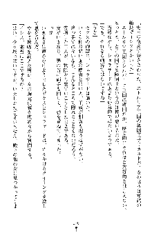 ハーレムパラディン, 日本語