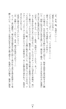 サンダークラップス！ 淫獄の四天使, 日本語