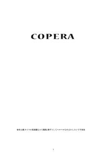 COPERA #02, 中文