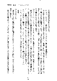 暴れん坊メイドは甘えん坊, 日本語