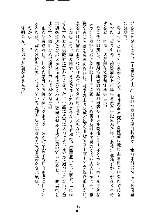 暴れん坊メイドは甘えん坊, 日本語