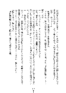 暴れん坊メイドは甘えん坊, 日本語