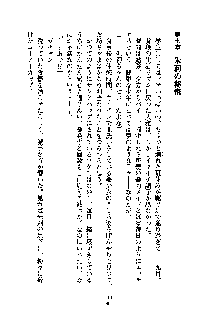 暴れん坊メイドは甘えん坊, 日本語