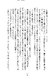 暴れん坊メイドは甘えん坊, 日本語