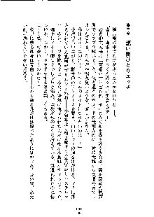 暴れん坊メイドは甘えん坊, 日本語