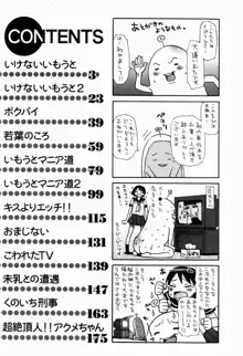 いけない いもうと, 日本語