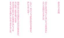 ー路地裏の玩具屋ーそ、そんにゃ!!そんにゃつもりじゃ、にゃかったのにぃぃぃ、あへええええ!!!!, 日本語