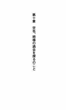 姉、ちゃんとしようよっ！下巻 奮闘編, 日本語