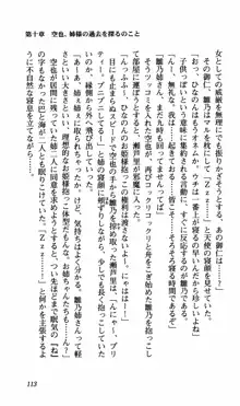 姉、ちゃんとしようよっ！下巻 奮闘編, 日本語