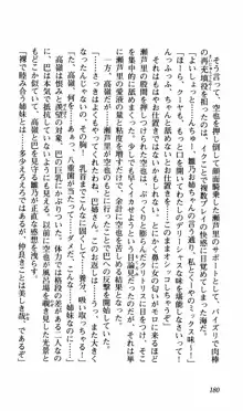 姉、ちゃんとしようよっ！下巻 奮闘編, 日本語