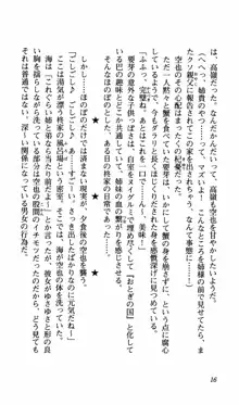 姉、ちゃんとしようよっ！下巻 奮闘編, 日本語