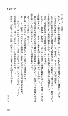 姉、ちゃんとしようよっ！下巻 奮闘編, 日本語