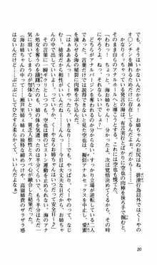 姉、ちゃんとしようよっ！下巻 奮闘編, 日本語