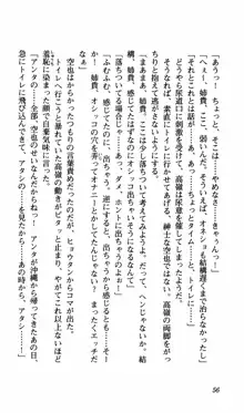 姉、ちゃんとしようよっ！下巻 奮闘編, 日本語