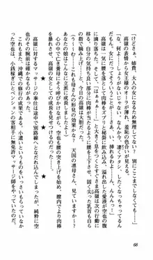 姉、ちゃんとしようよっ！下巻 奮闘編, 日本語