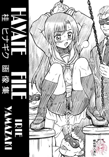 HAYATE FILE Katsura Hinagiku Gazoushuu, 中文