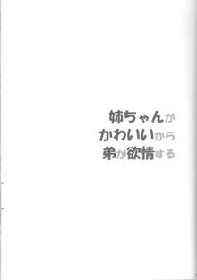 姉ちゃんがかわいいから弟が欲情する, 日本語