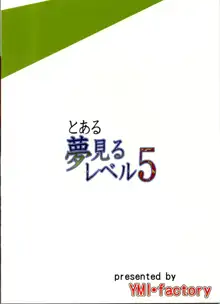 Toaru Yumemiru Level 5, 中文