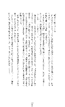 武闘巫女伝サツキ, 日本語