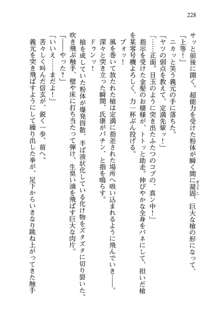 仙獄学艶戦姫ノブナガッ! 参 信玄、出陣!, 日本語