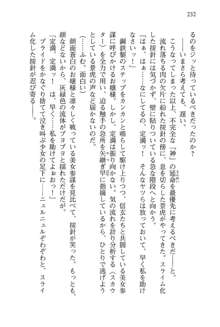 仙獄学艶戦姫ノブナガッ! 参 信玄、出陣!, 日本語