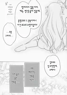 Erika Arterial | 에리카 아테리얼, 한국어