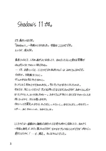 Shadow's 11, 日本語