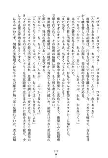 いもうとエロゲー 義妹と実妹も攻略可能？, 日本語