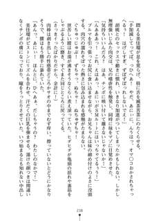 いもうとエロゲー 義妹と実妹も攻略可能？, 日本語