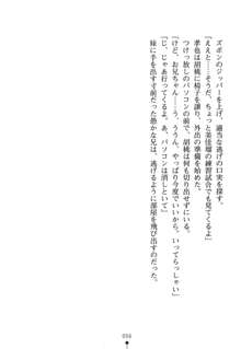 いもうとエロゲー 義妹と実妹も攻略可能？, 日本語