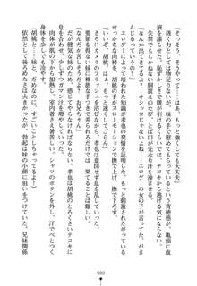 いもうとエロゲー 義妹と実妹も攻略可能？, 日本語