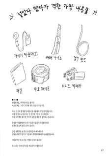 Geiger Counter | 가이거 카운터, 한국어