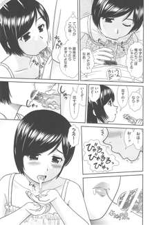 こんなコにしたのお兄ちゃんでしょ！！, 日本語