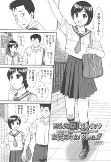 こんなコにしたのお兄ちゃんでしょ！！, 日本語