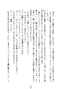 誘惑プリンセスはおキライですか？, 日本語