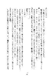 誘惑プリンセスはおキライですか？, 日本語