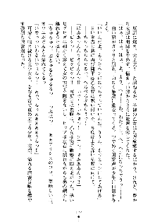 誘惑プリンセスはおキライですか？, 日本語