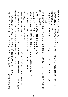 誘惑プリンセスはおキライですか？, 日本語