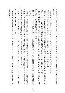 誘惑プリンセスはおキライですか？, 日本語